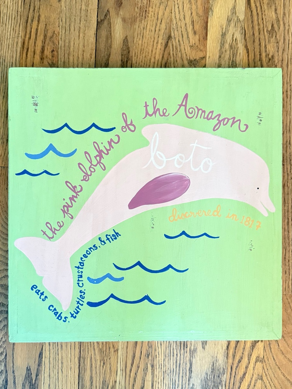 Pottery Barn Kids Wall Art Set of 2 Amazon River Dolphin Blue Whale